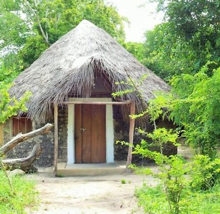 Hotel Africa Safari Camp Mloka Zewnętrze zdjęcie