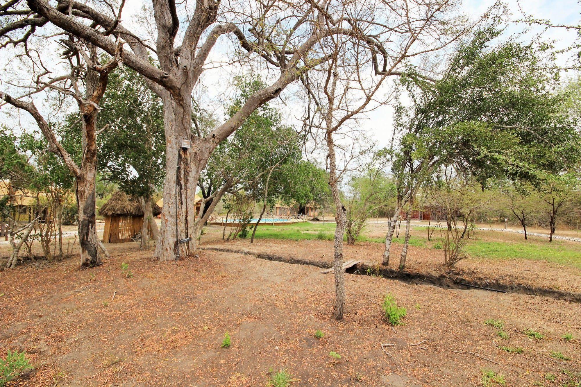 Hotel Africa Safari Camp Mloka Zewnętrze zdjęcie